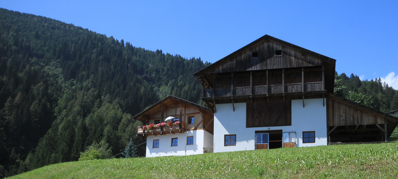 Urlaub_auf_den_Bauernhof_Gampen_Proveis